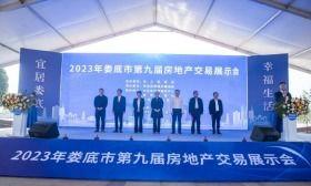 娄底最新爆料,揭秘神秘事件背后的惊人真相